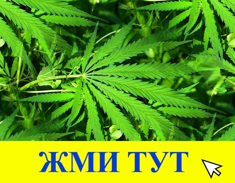 Купить наркотики в Кемерово